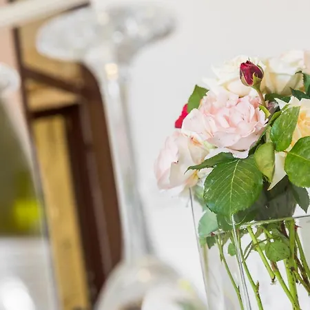 Apartment Miha Porec