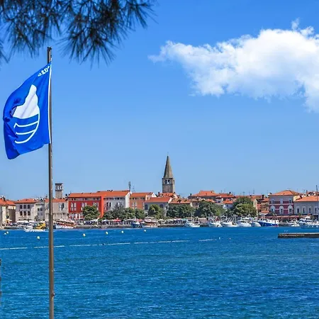 Miha * Porec